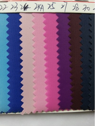 DG-BICG BC-4202 尼龍  背囊面料 細節-1